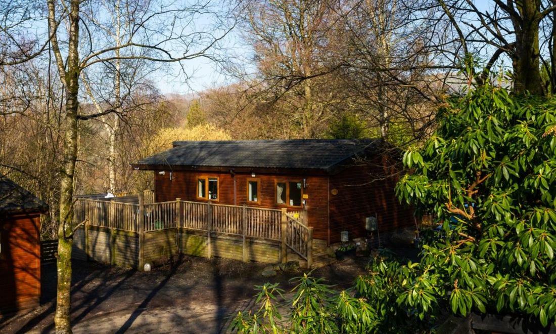 Owls House, White Cross Bay, Ambleside, Windermere Exteriér fotografie